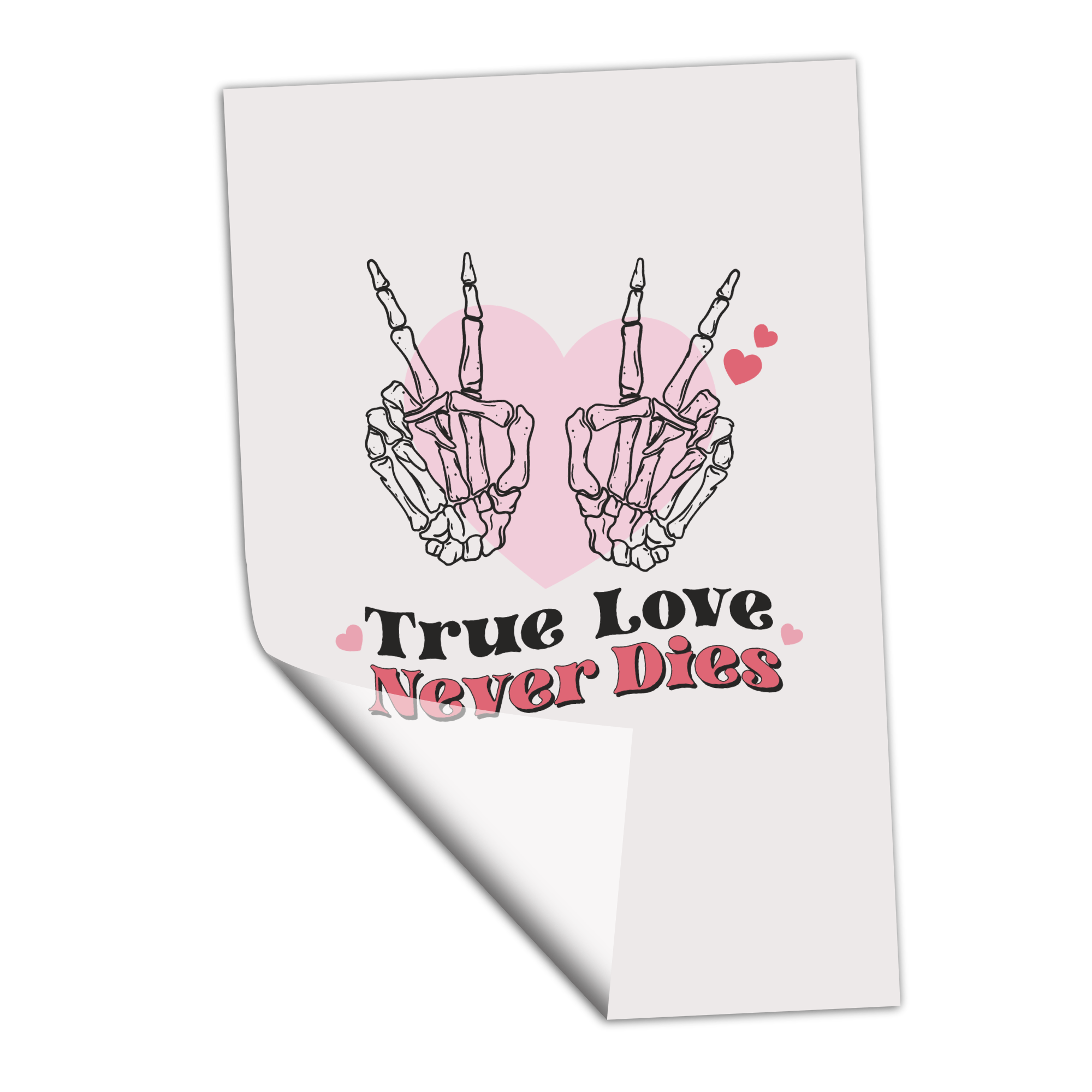 True Love Never Dies - Transfer